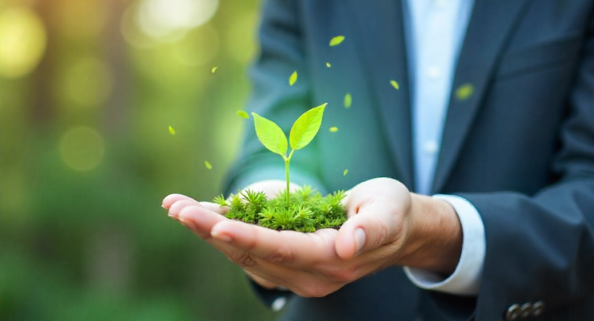 O Impacto Das Certificações Ambientais Em Projetos De Construção