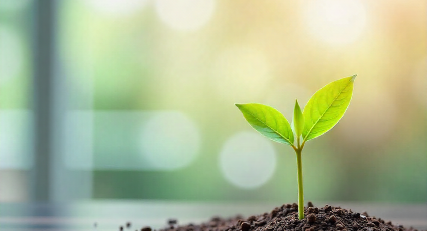 Como As Certificações Impactam A Rentabilidade De Um Projeto Sustentável
